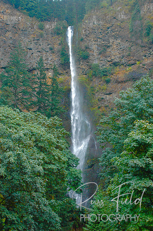 DSC_0017.JPG