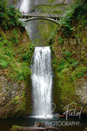 DSC_0020.JPG