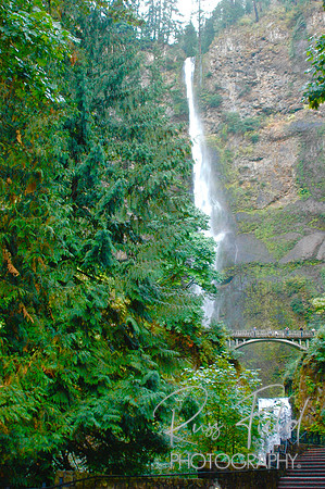 DSC_0019.JPG